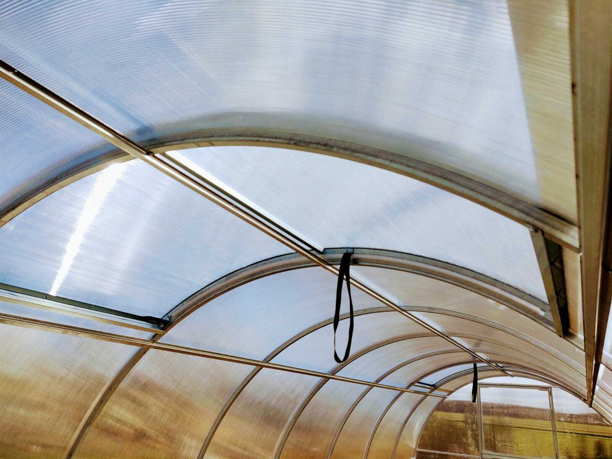 Gewächshaus SOLID 3 m – 4/6 mm Polycarbonat, Bogenabstand 0,66 m