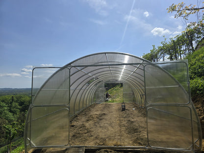 Gewächshaus GAUDI 4.0 m – 4/6 mm Polycarbonat oder Stahlrahmen | 0,67/1 m Bogenabstand