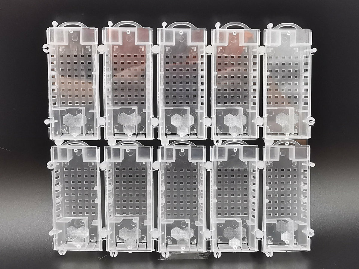 Königinnenversandkäfige transparent – 10er Set für Bienenköniginnen