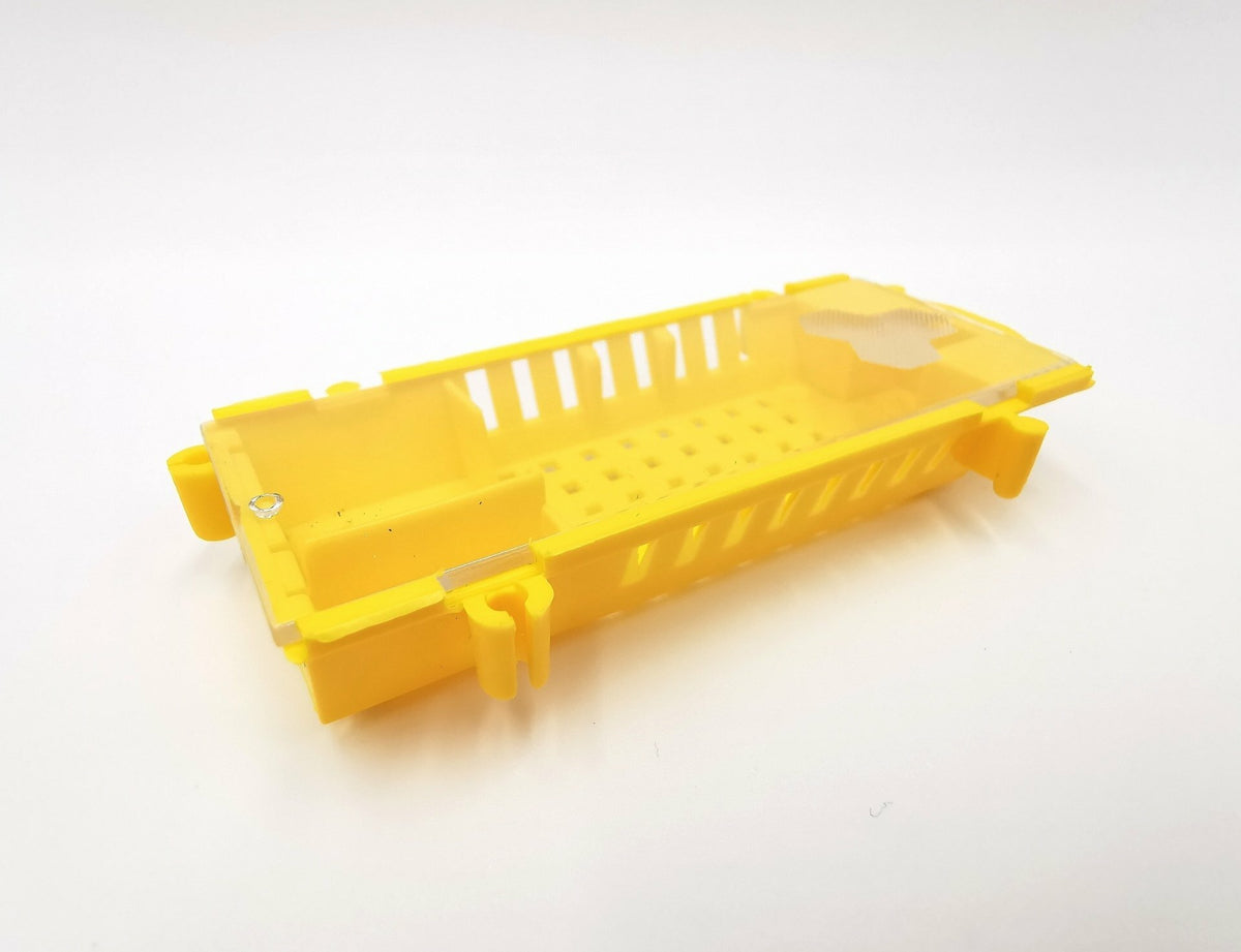 Königinnenversandkäfige gelb – 10er Set für Bienenköniginnen