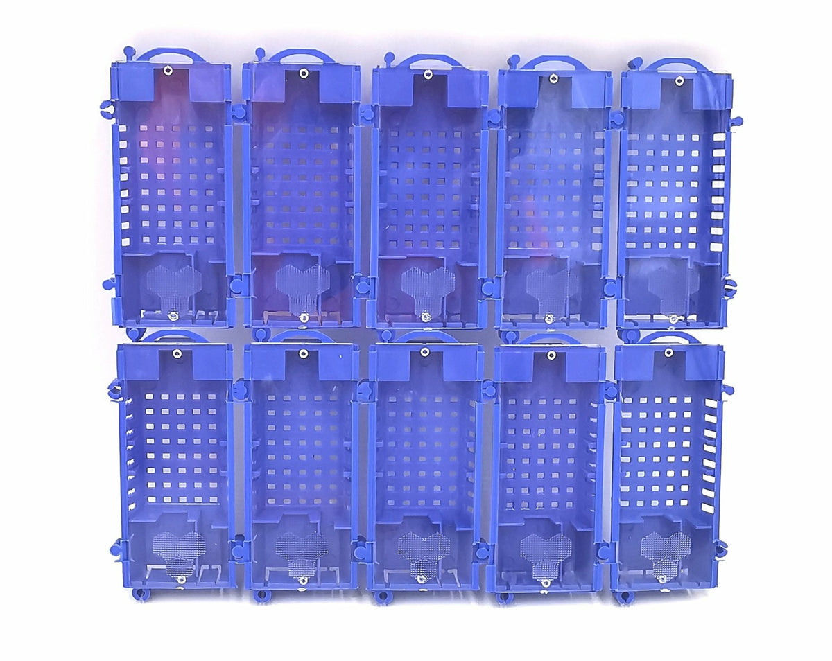 Königinnenversandkäfige blau – 10er Set für Bienenköniginnen