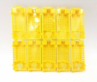 Königinnenversandkäfige gelb – 10er Set für Bienenköniginnen