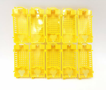 Königinnenversandkäfige gelb – 10er Set für Bienenköniginnen