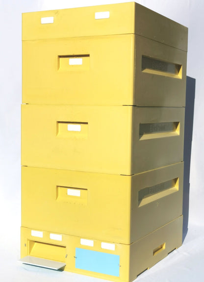 5er Set BEE-POINT PUR Beuten – 10er Zander / 12er DNM, mit Dadant US kombinierbar
