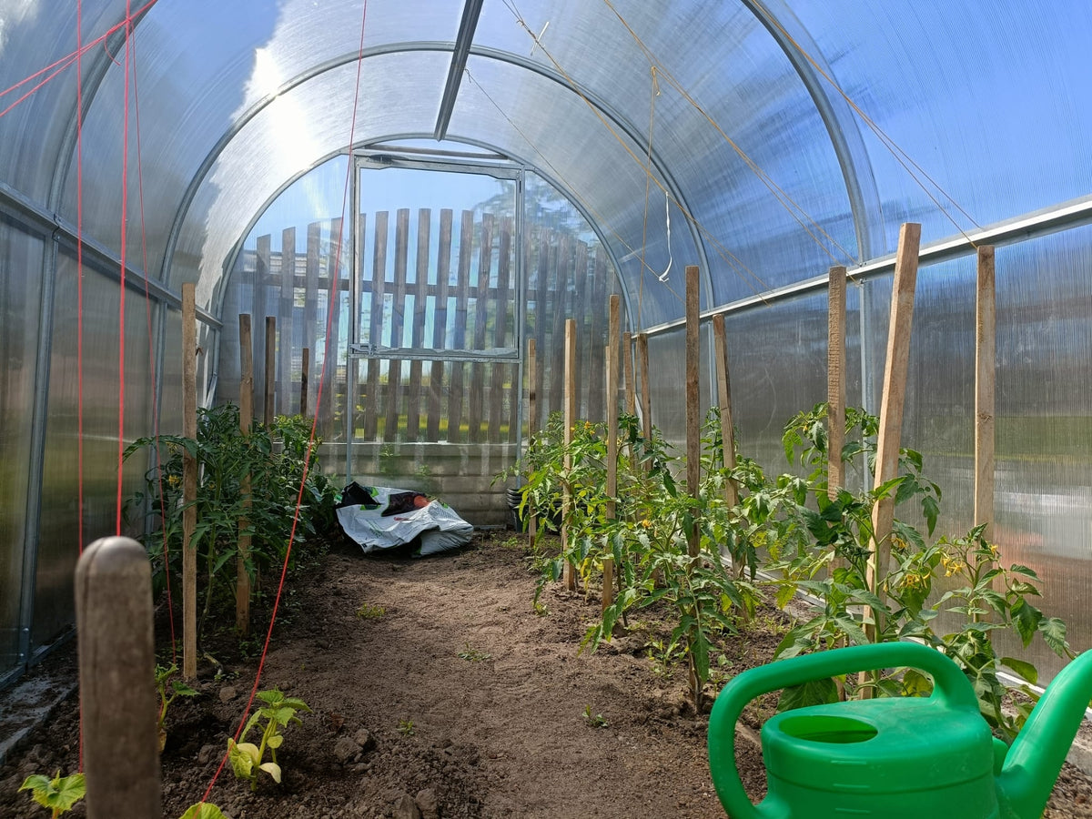 Gewächshaus GREEN GO 2,10 × 4 m – 4 mm Polycarbonat