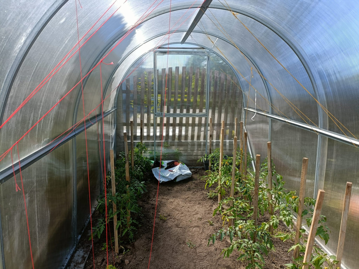 Gewächshaus GREEN GO 2,10 × 4 m mit 6 mm Polycarbonat – 8,4 m²