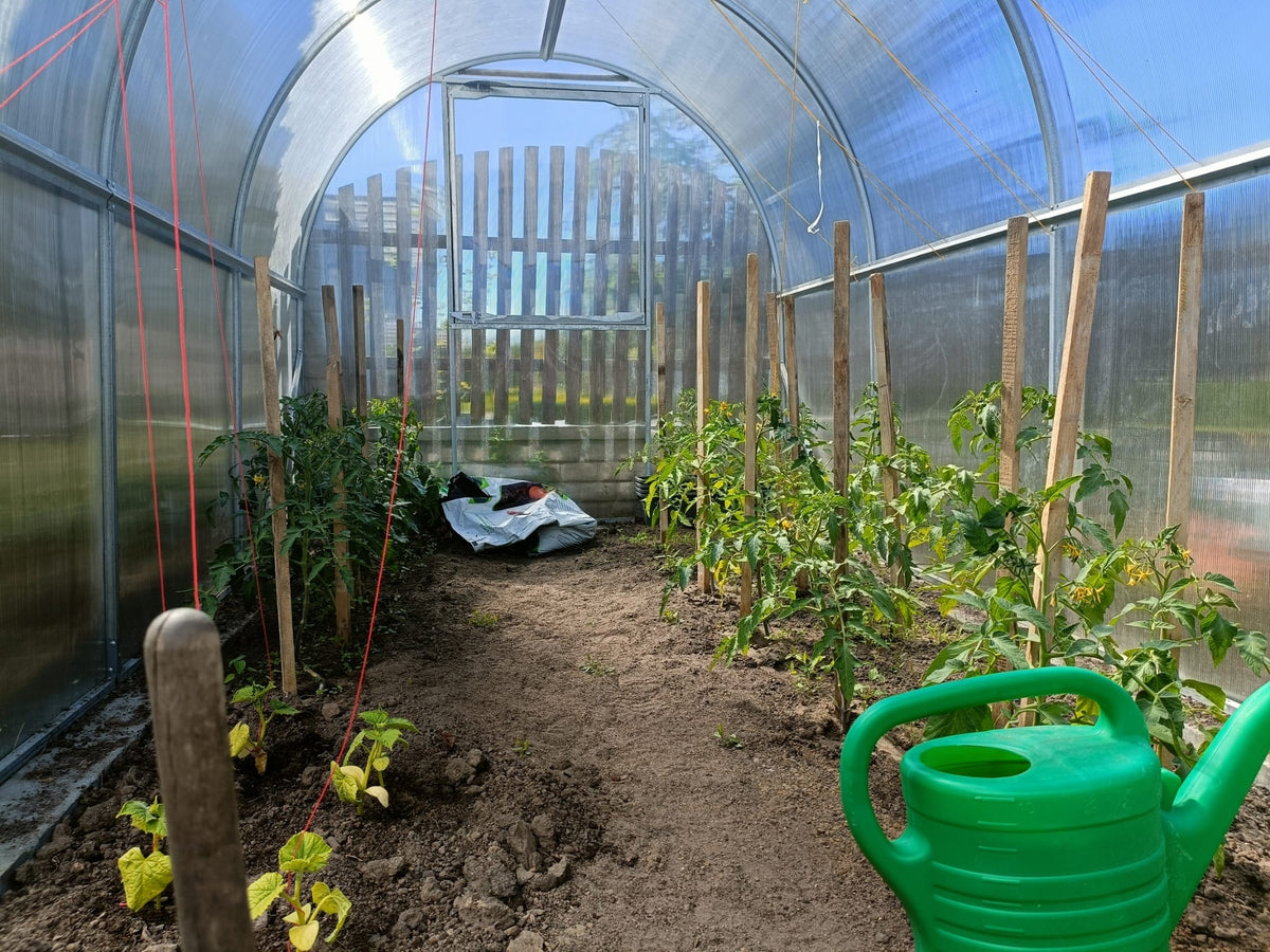 Gewächshaus GREEN GO 2,10 × 4 m – 4 mm Polycarbonat