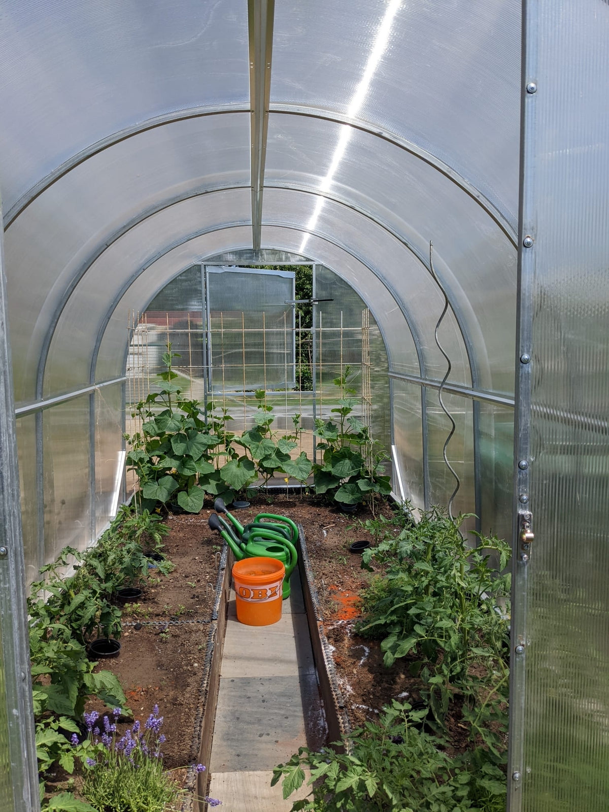 Gewächshaus GREEN GO 2,10 × 4 m mit 6 mm Polycarbonat – 8,4 m²