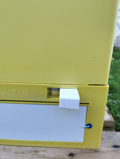 2er Ablegerkasten Dadant US BEE-POINT PUR – 10 Rähmchen