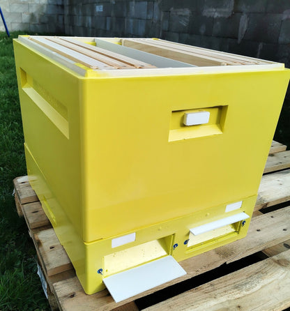 2er Ablegerkasten Dadant US BEE-POINT PUR – 10 Rähmchen