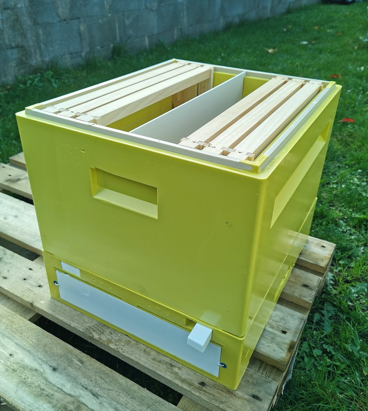 2er Ablegerkasten Dadant US BEE-POINT PUR – 10 Rähmchen