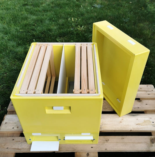 2er Ablegerkasten Dadant US BEE-POINT PUR – 10 Rähmchen