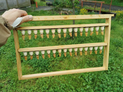 Instrumentell besamte Ligustica Cordovan Bienenkönigin mit Eiablageprüfung
