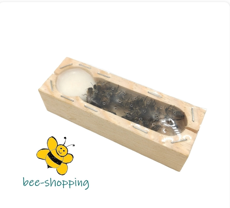Königinnenkäfig aus Holz – Zusetz- & Versandkäfig für Bienenköniginnen