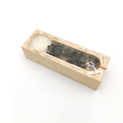 Königinnenkäfig aus Holz – Zusetz- & Versandkäfig für Bienenköniginnen