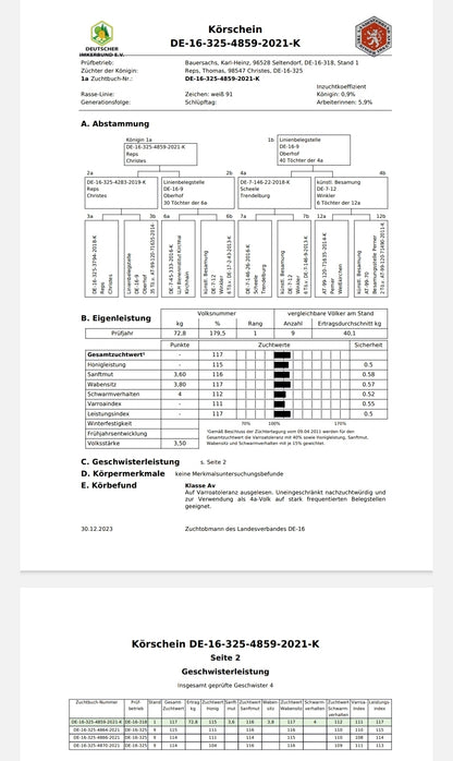Instrumentell besamte Bienenkönigin Carnica ohne Eiablageprüfung