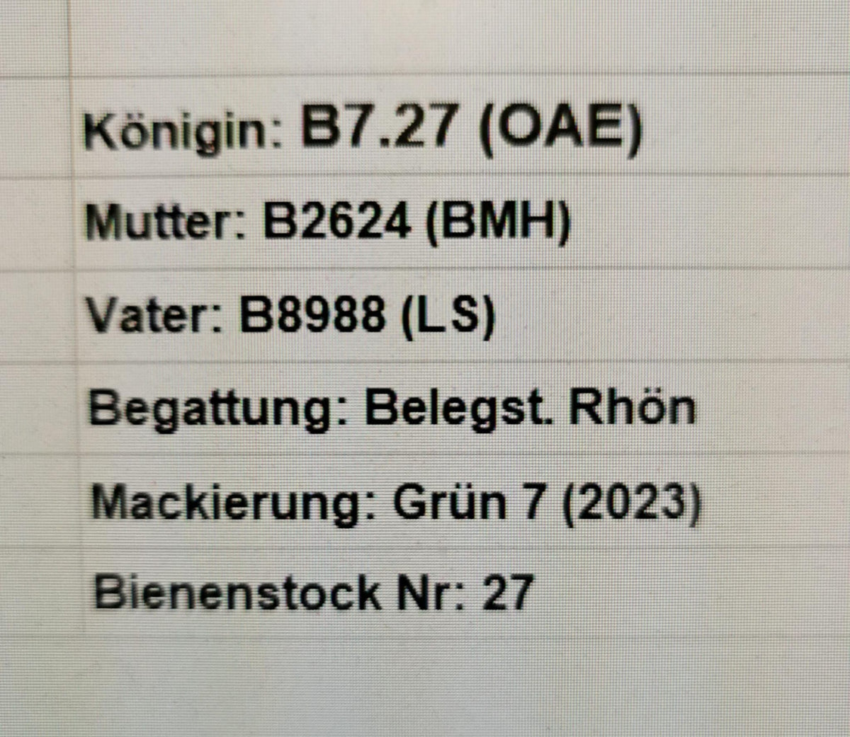 Belegstellenbegattete Bienenkönigin Buckfast