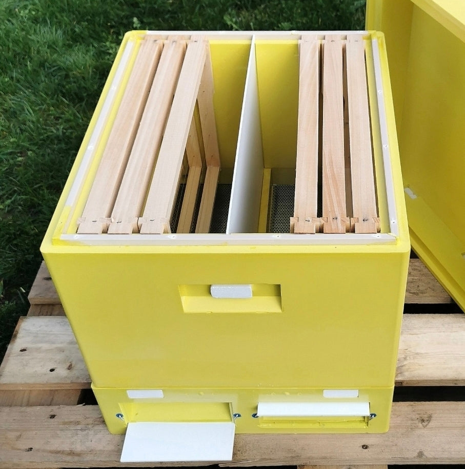 Dadant US Trennschied aus PVC für BEE-POINT PUR Beute – 1 Stück