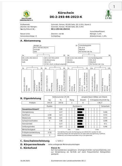 Belegstellenbegattete Bienenkönigin Carnica 2027